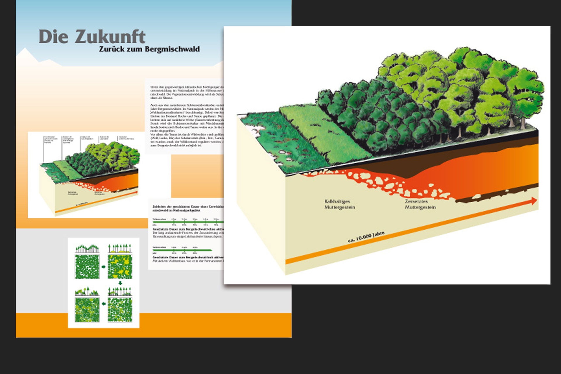 Infografik